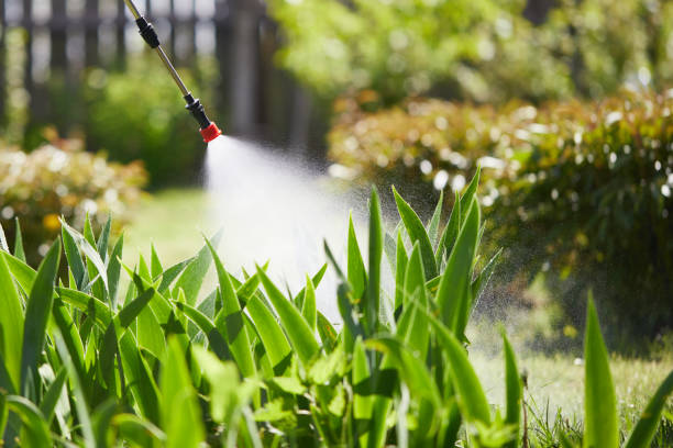 24/7 Emergency Mosquito Control experts in Lake Village, AR